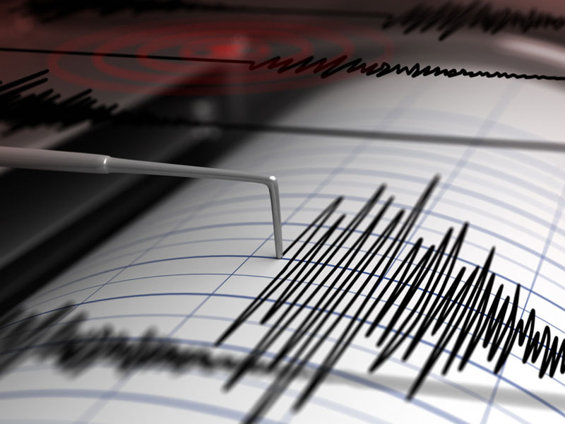 Hearthquake - seismograph